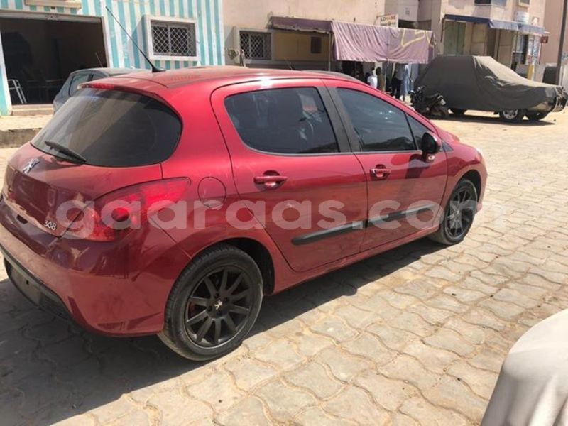 Big with watermark 48370080 2114911108823350 3973427391178473472 n