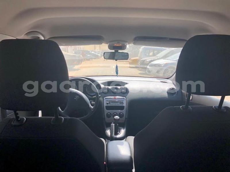 Big with watermark 48369081 2114911152156679 7886886271421775872 n