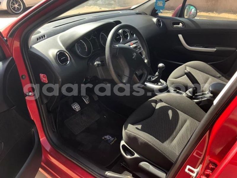 Big with watermark 48373353 2114911192156675 9188554081310867456 n