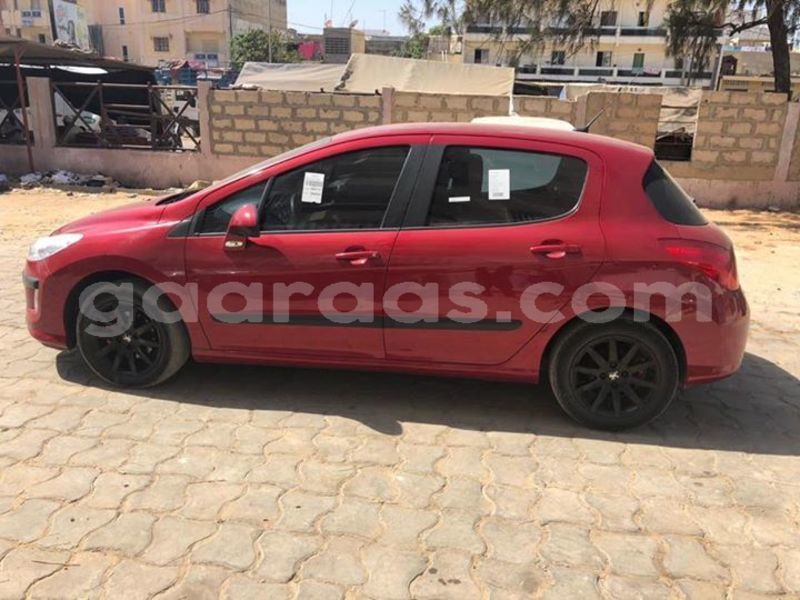 Big with watermark 47682087 2114911222156672 5162309772191465472 n