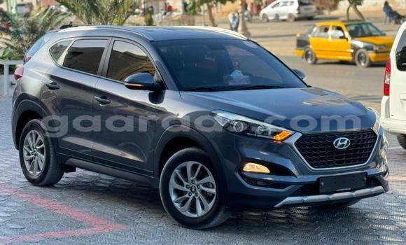 Dieundeu Imported Hyundai Tucson Silver Auto in Dakar in Dakar Dieundeu Imported Hyundai Tucson Silver Auto in Dakar in Dakar