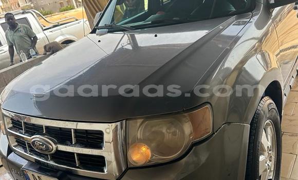 Dieundeu Occasion Ford Escape Silver Auto in Dakar in Dakar Dieundeu Occasion Ford Escape Silver Auto in Dakar in Dakar