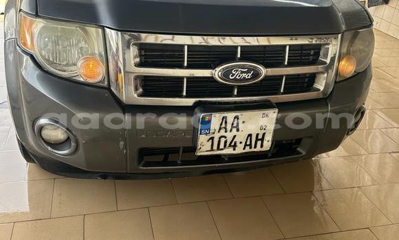 Dieundeu Occasion Ford Escape Silver Auto in Dakar in Dakar Dieundeu Occasion Ford Escape Silver Auto in Dakar in Dakar