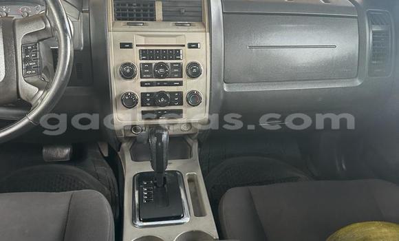 Dieundeu Occasion Ford Escape Silver Auto in Dakar in Dakar Dieundeu Occasion Ford Escape Silver Auto in Dakar in Dakar