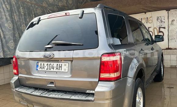 Dieundeu Occasion Ford Escape Silver Auto in Dakar in Dakar Dieundeu Occasion Ford Escape Silver Auto in Dakar in Dakar