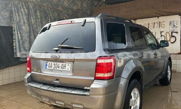 Dieundeu Occasion Ford Escape Silver Auto in Dakar in Dakar Dieundeu Occasion Ford Escape Silver Auto in Dakar in Dakar