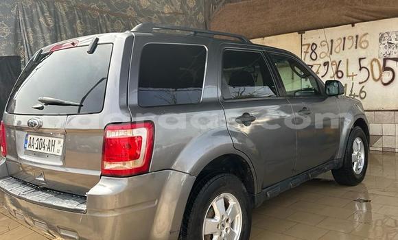 Dieundeu Occasion Ford Escape Silver Auto in Dakar in Dakar Dieundeu Occasion Ford Escape Silver Auto in Dakar in Dakar