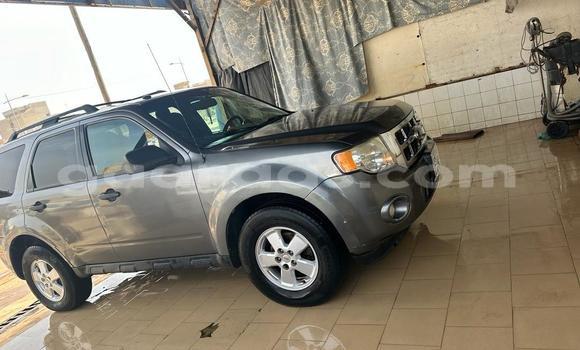 Dieundeu Occasion Ford Escape Silver Auto in Dakar in Dakar Dieundeu Occasion Ford Escape Silver Auto in Dakar in Dakar