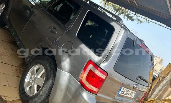 Dieundeu Occasion Ford Escape Silver Auto in Dakar in Dakar Dieundeu Occasion Ford Escape Silver Auto in Dakar in Dakar