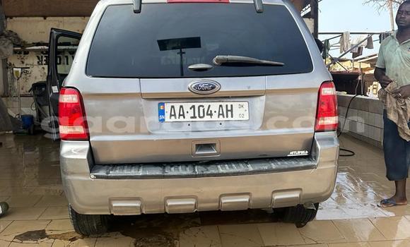 Dieundeu Occasion Ford Escape Silver Auto in Dakar in Dakar Dieundeu Occasion Ford Escape Silver Auto in Dakar in Dakar