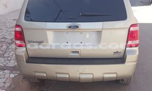 Acheter Occasion Voiture Ford Escape Beige à Dakar, Dakar Acheter Occasion Voiture Ford Escape Beige à Dakar, Dakar