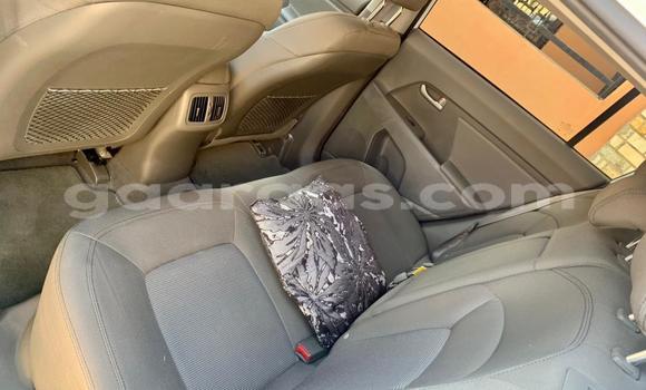 Dieundeu Occasion Kia Sportage White Auto in Dakar in Dakar Dieundeu Occasion Kia Sportage White Auto in Dakar in Dakar