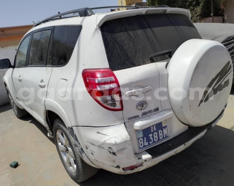 Big with watermark toyota rav4 dakar dakar 16329