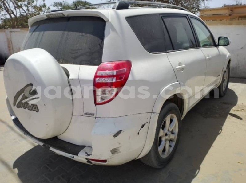 Big with watermark toyota rav4 dakar dakar 16329