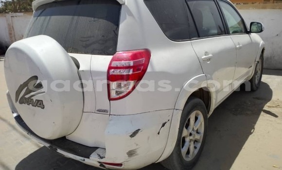 Dieundeu Occasion Toyota RAV4 White Auto in Dakar in Dakar Dieundeu Occasion Toyota RAV4 White Auto in Dakar in Dakar