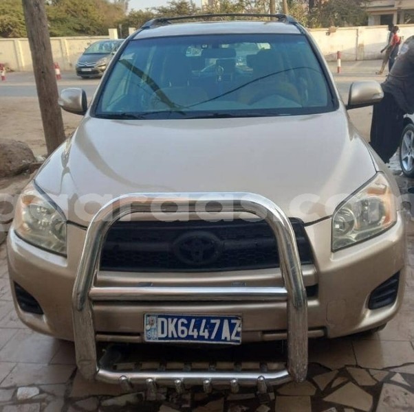 Big with watermark toyota rav4 dakar dakar 16330