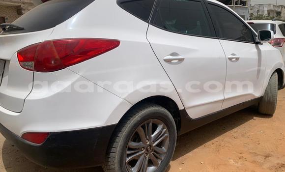 Dieundeu Occasion Hyundai Tucson White Auto in Dakar in Dakar Dieundeu Occasion Hyundai Tucson White Auto in Dakar in Dakar