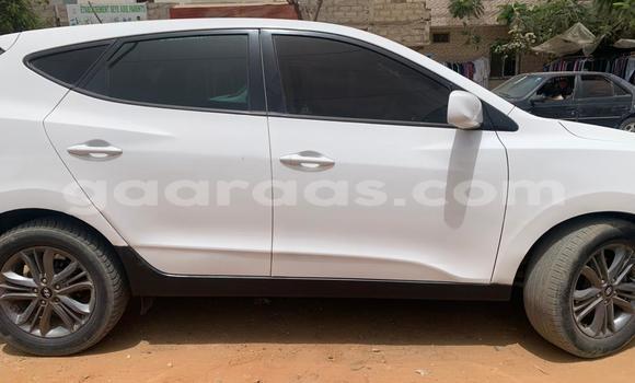 Dieundeu Occasion Hyundai Tucson White Auto in Dakar in Dakar Dieundeu Occasion Hyundai Tucson White Auto in Dakar in Dakar