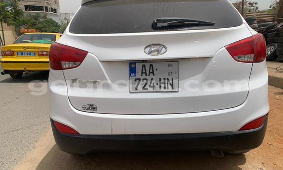 Dieundeu Occasion Hyundai Tucson White Auto in Dakar in Dakar Dieundeu Occasion Hyundai Tucson White Auto in Dakar in Dakar