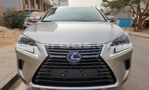 Dieundeu Occasion Lexus NX Beige Auto in Dakar in Dakar
