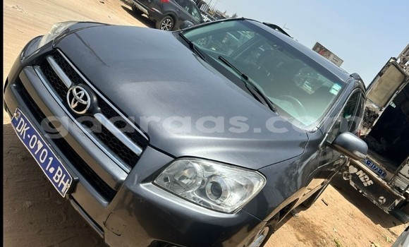Dieundeu Occasion Toyota RAV4 Silver Auto in Dakar in Dakar Dieundeu Occasion Toyota RAV4 Silver Auto in Dakar in Dakar