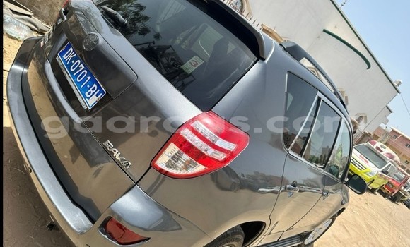 Dieundeu Occasion Toyota RAV4 Silver Auto in Dakar in Dakar Dieundeu Occasion Toyota RAV4 Silver Auto in Dakar in Dakar