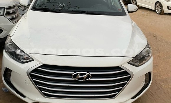 Buy Used Hyundai Elantra White Car in Dakar in Dakar Buy Used Hyundai Elantra White Car in Dakar in Dakar