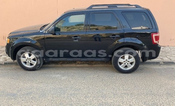 Buy Used Ford Escape Black Car in Dakar in Dakar Buy Used Ford Escape Black Car in Dakar in Dakar