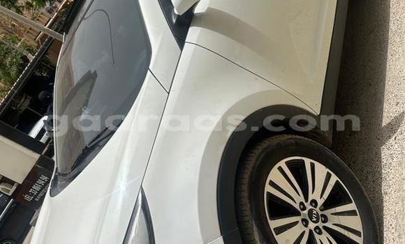 Buy Used Kia Sportage White Car in Dakar in Dakar Buy Used Kia Sportage White Car in Dakar in Dakar
