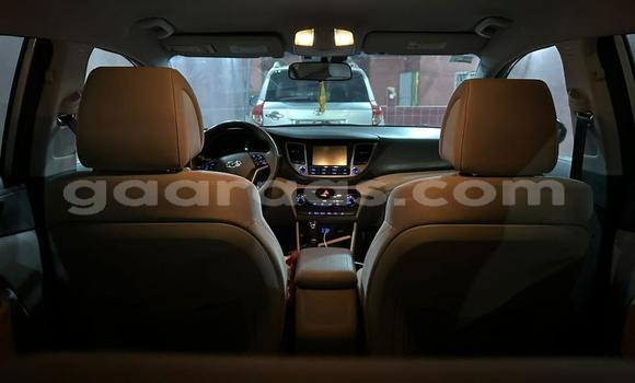 Dieundeu Occasion Hyundai Tucson Silver Auto in Dakar in Dakar Dieundeu Occasion Hyundai Tucson Silver Auto in Dakar in Dakar