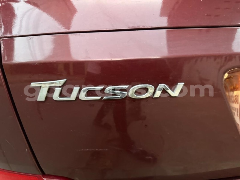 Big with watermark hyundai tucson dakar dakar 17329