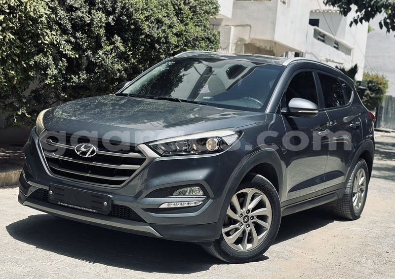 Big with watermark hyundai tucson dakar dakar 17336