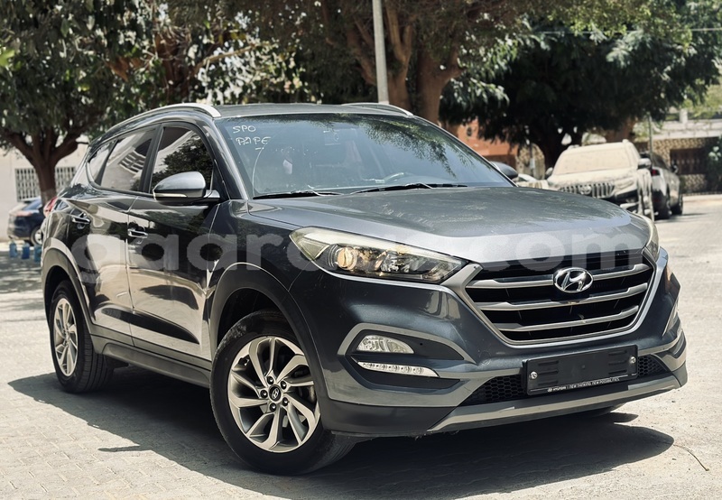 Big with watermark hyundai tucson dakar dakar 17336