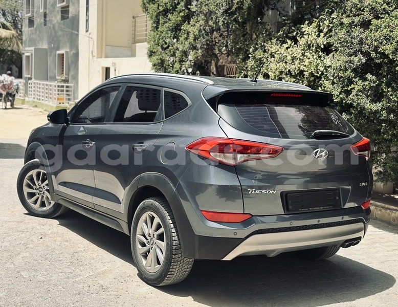 Big with watermark hyundai tucson dakar dakar 17336