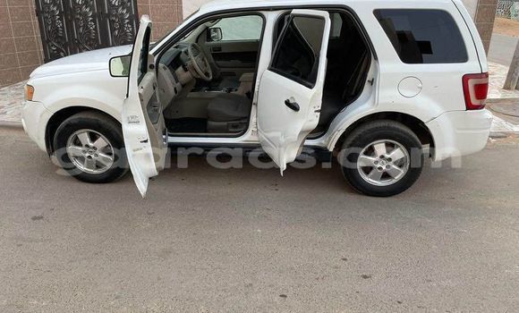 Acheter Occasion Voiture Ford Escape Blanc à Dakar, Dakar Acheter Occasion Voiture Ford Escape Blanc à Dakar, Dakar