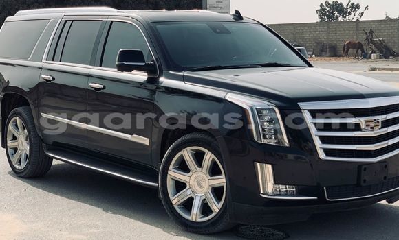 Buy Import Cadillac Escalade Black Car in Dakar in Dakar Buy Import Cadillac Escalade Black Car in Dakar in Dakar