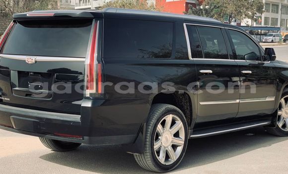 Buy Import Cadillac Escalade Black Car in Dakar in Dakar Buy Import Cadillac Escalade Black Car in Dakar in Dakar