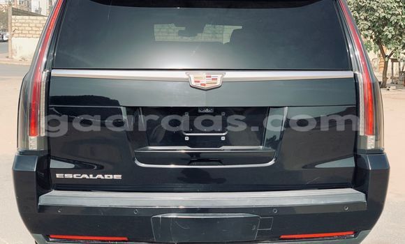 Buy Import Cadillac Escalade Black Car in Dakar in Dakar Buy Import Cadillac Escalade Black Car in Dakar in Dakar