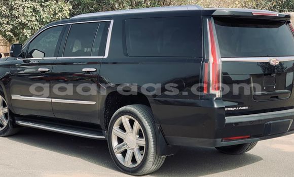 Buy Import Cadillac Escalade Black Car in Dakar in Dakar Buy Import Cadillac Escalade Black Car in Dakar in Dakar