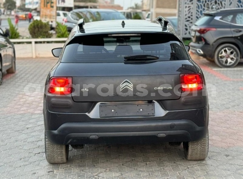 Big with watermark citroen c4 cactus dakar dakar 17940