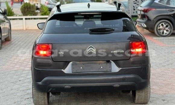 Acheter Occasion Voiture Citroen C4 Cactus Gris à Dakar, Dakar Acheter Occasion Voiture Citroen C4 Cactus Gris à Dakar, Dakar