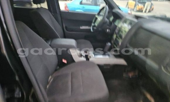 Buy Used Ford Escape Other Car in Dakar in Dakar Buy Used Ford Escape Other Car in Dakar in Dakar