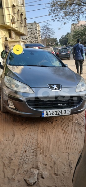 Big with watermark peugeot 407 dakar dakar 17985