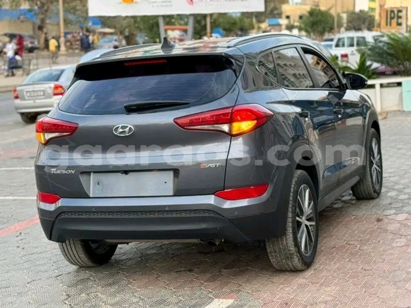 Big with watermark hyundai tucson dakar dakar 18213