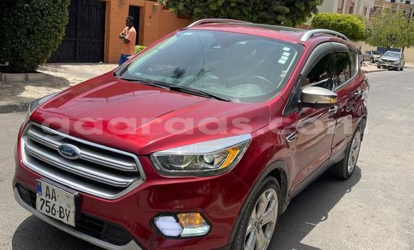 Dieundeu Occasion Ford Escape Red Auto in Dakar in Dakar Dieundeu Occasion Ford Escape Red Auto in Dakar in Dakar