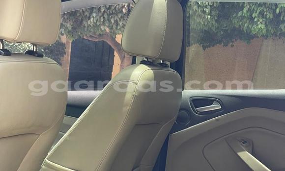 Dieundeu Occasion Ford Escape Red Auto in Dakar in Dakar Dieundeu Occasion Ford Escape Red Auto in Dakar in Dakar