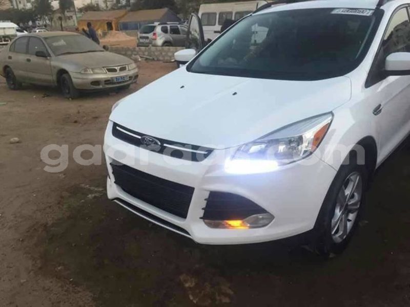 Big with watermark 52937461 2364784593797218 6747361087638732800 o