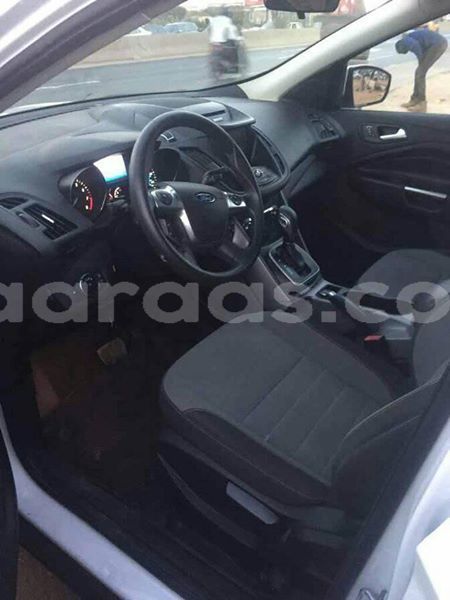 Big with watermark 53435202 2364784500463894 3681317671715995648 n