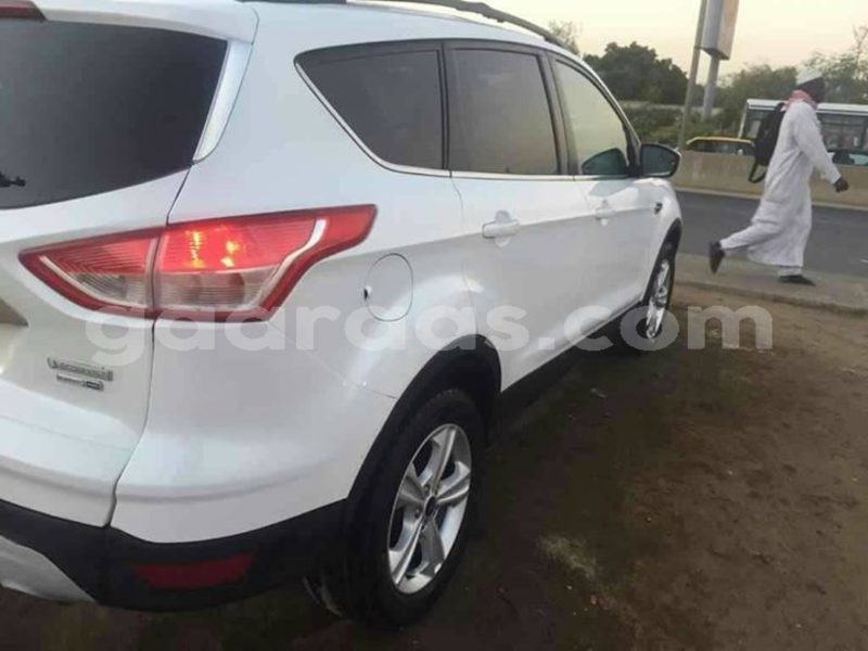 Big with watermark 53461740 2364784447130566 218657399219683328 o