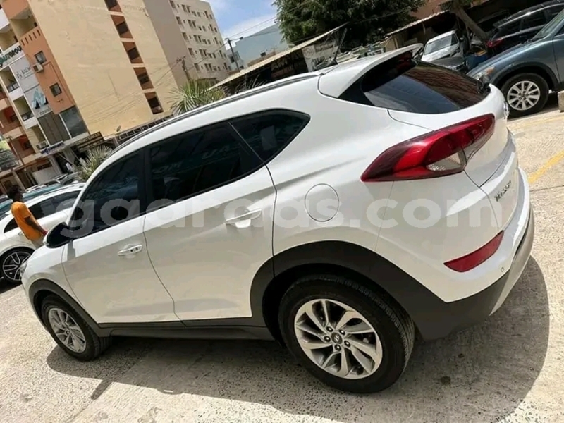 Big with watermark hyundai tucson dakar dakar 18722